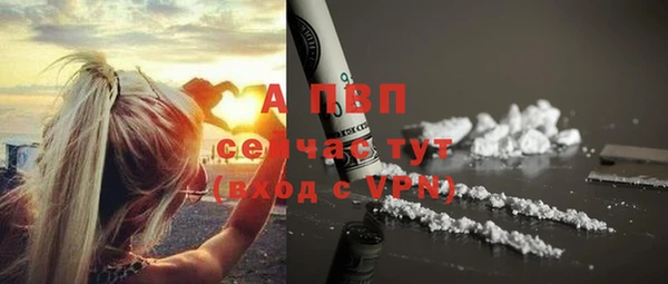 apvp Вяземский